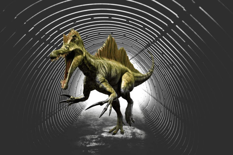 Tunnel avec dinosaur