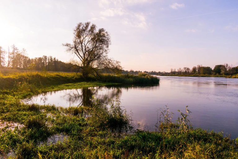 gestion du territoire et écologie